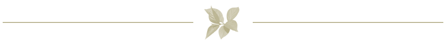 divider-leaves1